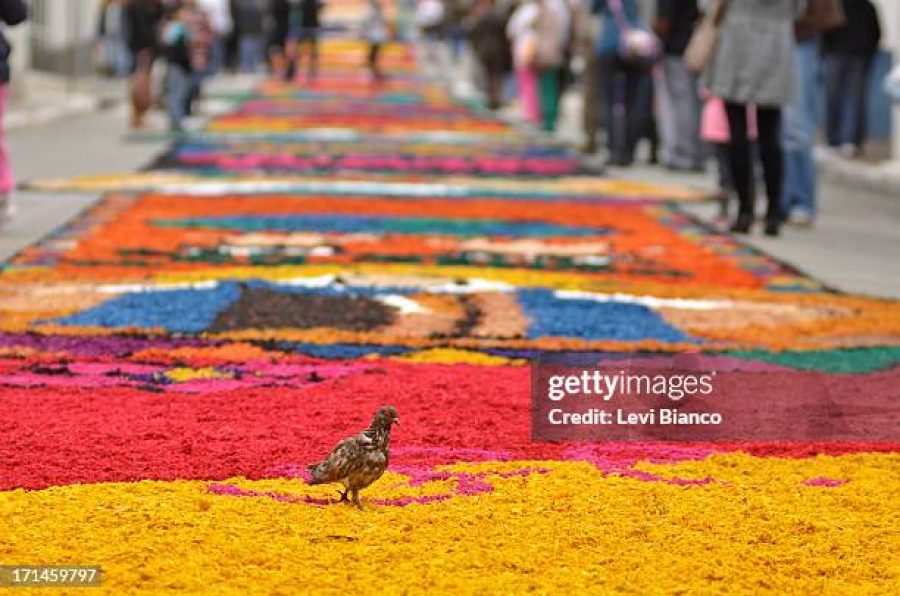 Corpus Christi: tradição de fé e cultura passa a integrar oficialmente o calendário de feriados do Estado do Rio de Janeiro.