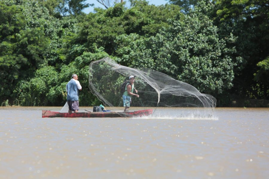  LEIS DA ALERJ FORTALECEM DIREITOS DOS PESCADORES E REFORÇAM  IMPORTÂNCIA DA ECONOMIA DO MAR NO RIO